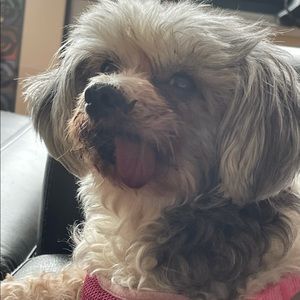 Meet your Posher, Rebecca